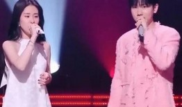 汪苏泷与张碧晨,汪苏泷与张碧晨跨界合作，共谱青春华章